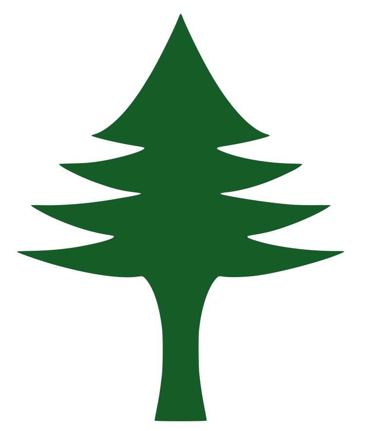 Maine Guide To Cannabis